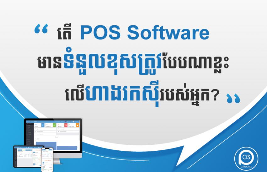 What are the responsibilities of POS Software on your business